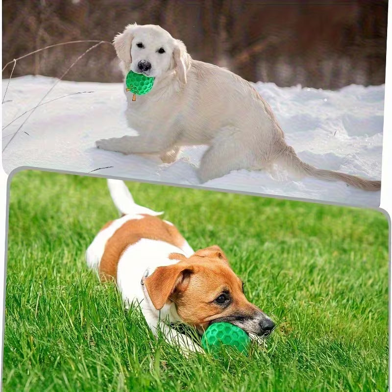 Indestructible Squeaky Dog Chew Ball
