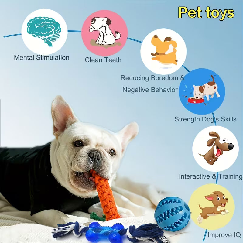 Random 3/6pcs Styles Random Colors Dog Chewing Toys